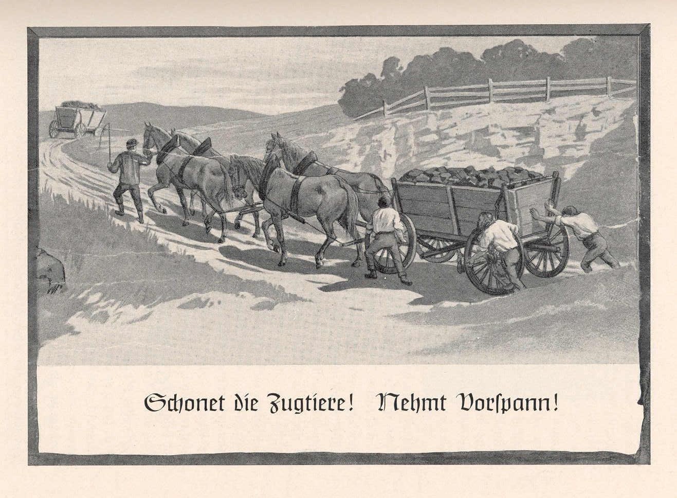 Tierschutz früher Aus den Anfängen des Tierschutzes